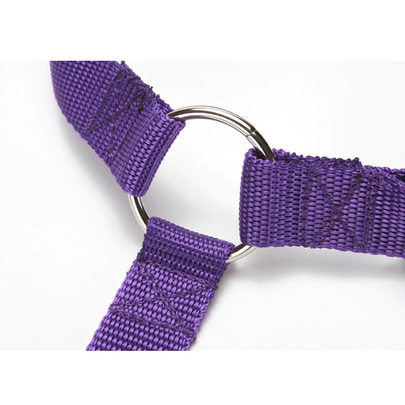Adjustable Nylon Car Safety Seat Belt For Dogs