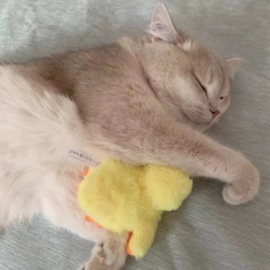 🦆Lifelike Quack Chirping Cat Kicker Toys