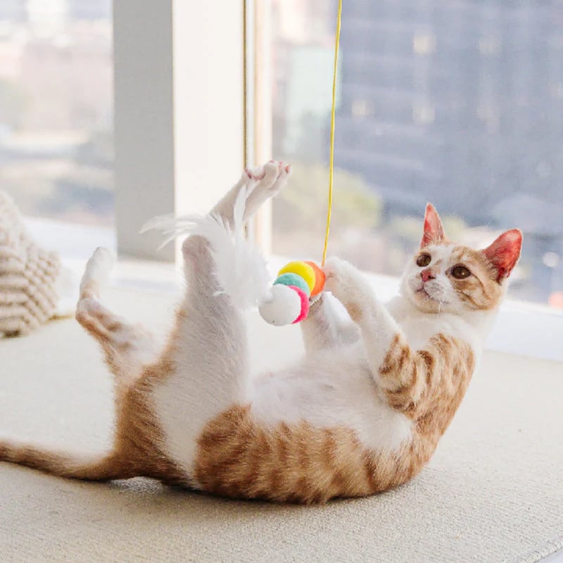 2023 Hot Sale💥Hanging Bouncing Cats Toy