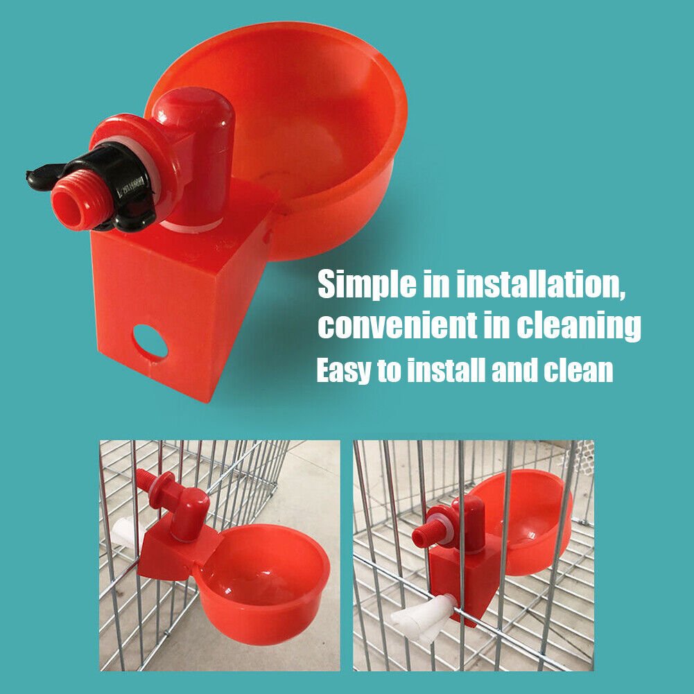 🎉Automatic Poultry Water Bowl (5Pcs/set) 💥