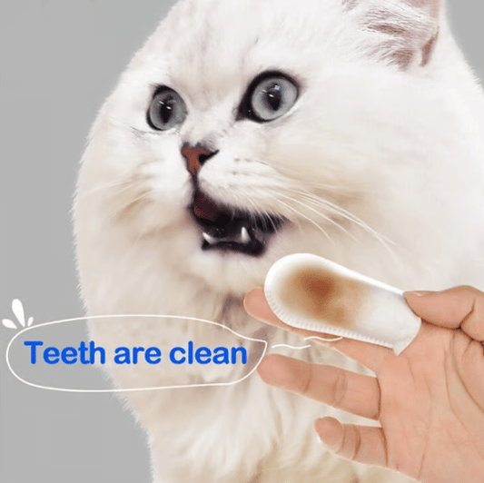 (🍀 HOT SALE 🍀)-Pet Teeth Macular Bacteria Cleaning Finger Wipes