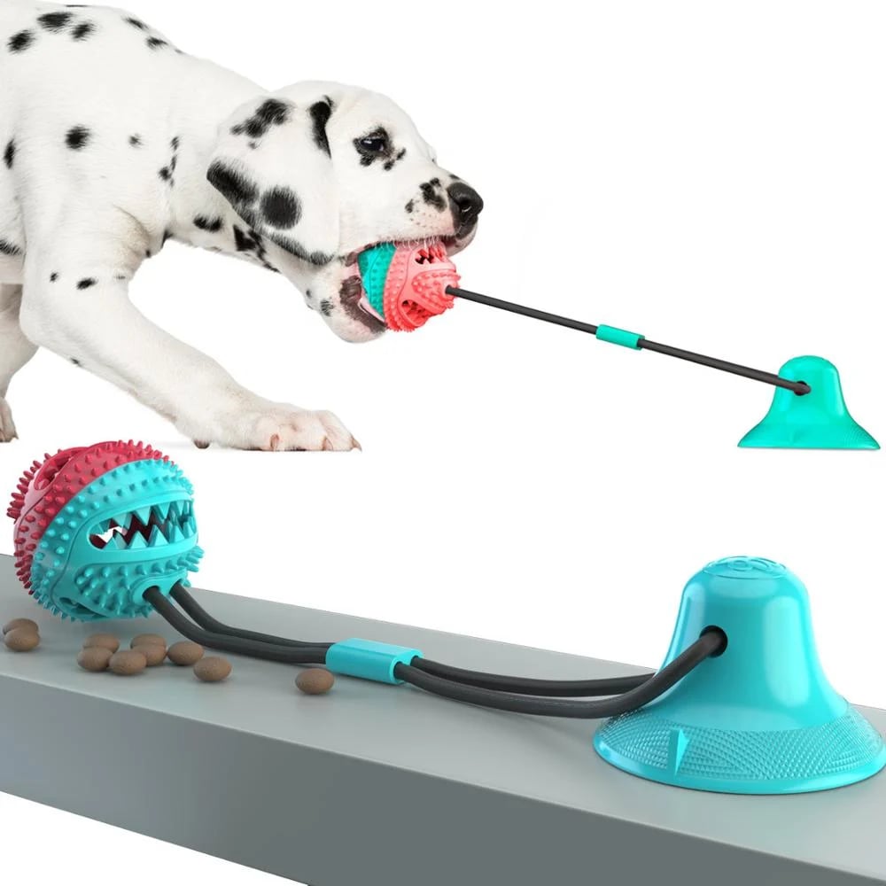 Dog suction cup toy
