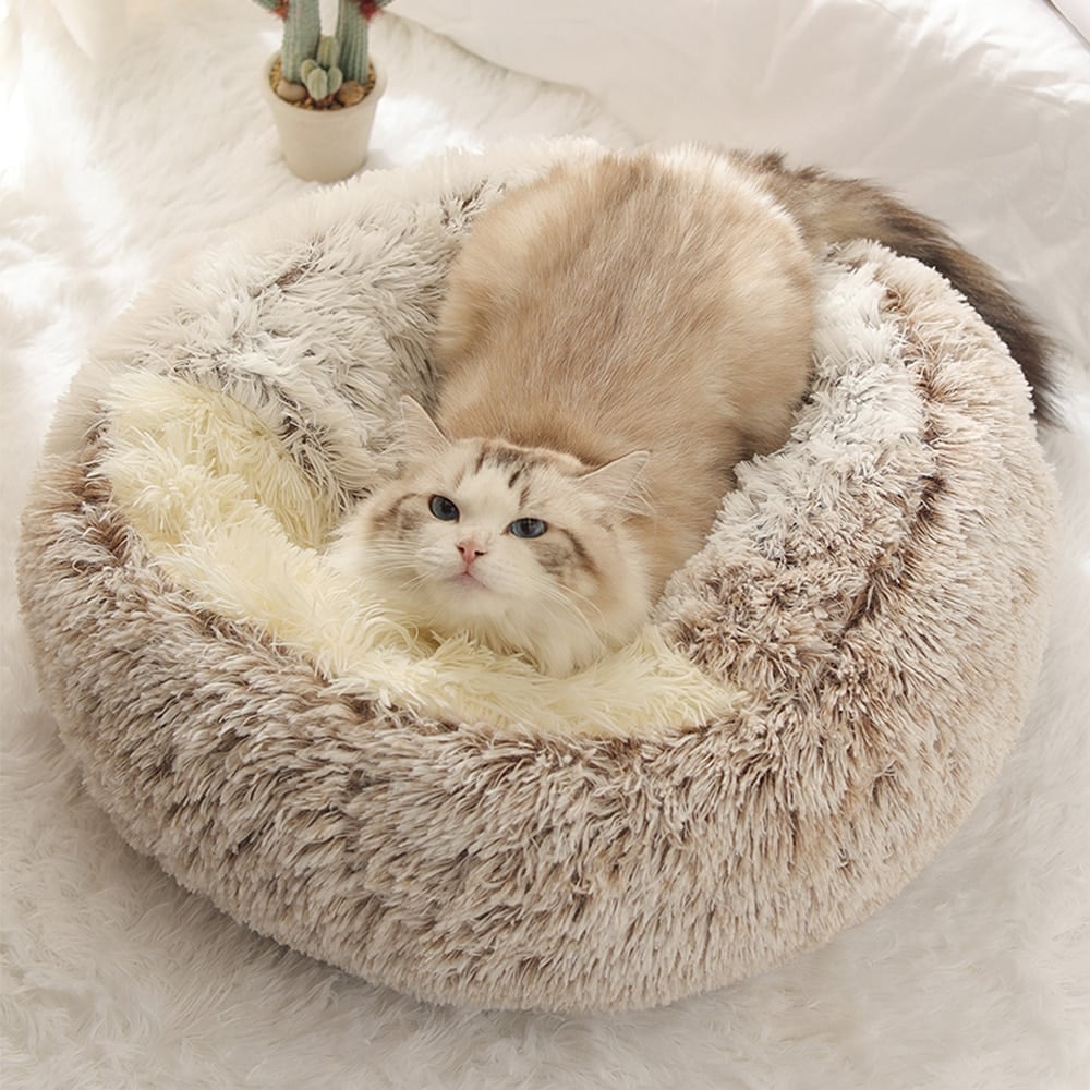 🔥Cat Plush Bed