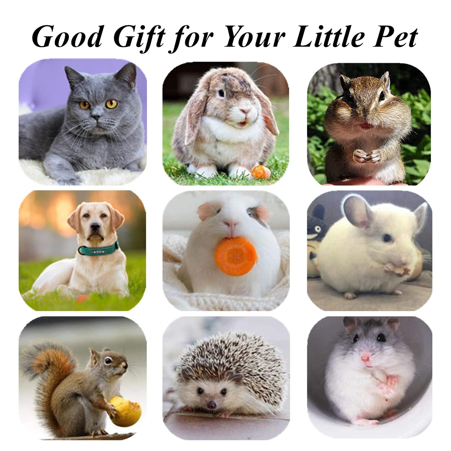 (🔥BIG SALE)Natural Silvervine Stick Cat Chew Toy