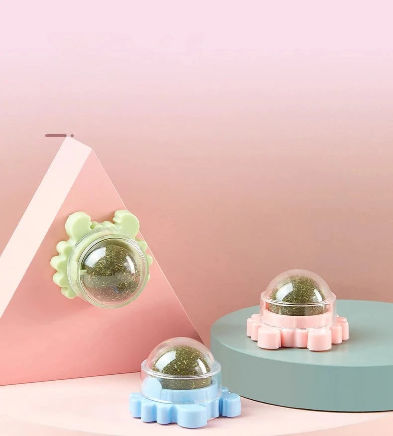 🔥CATNIP WALL BALL