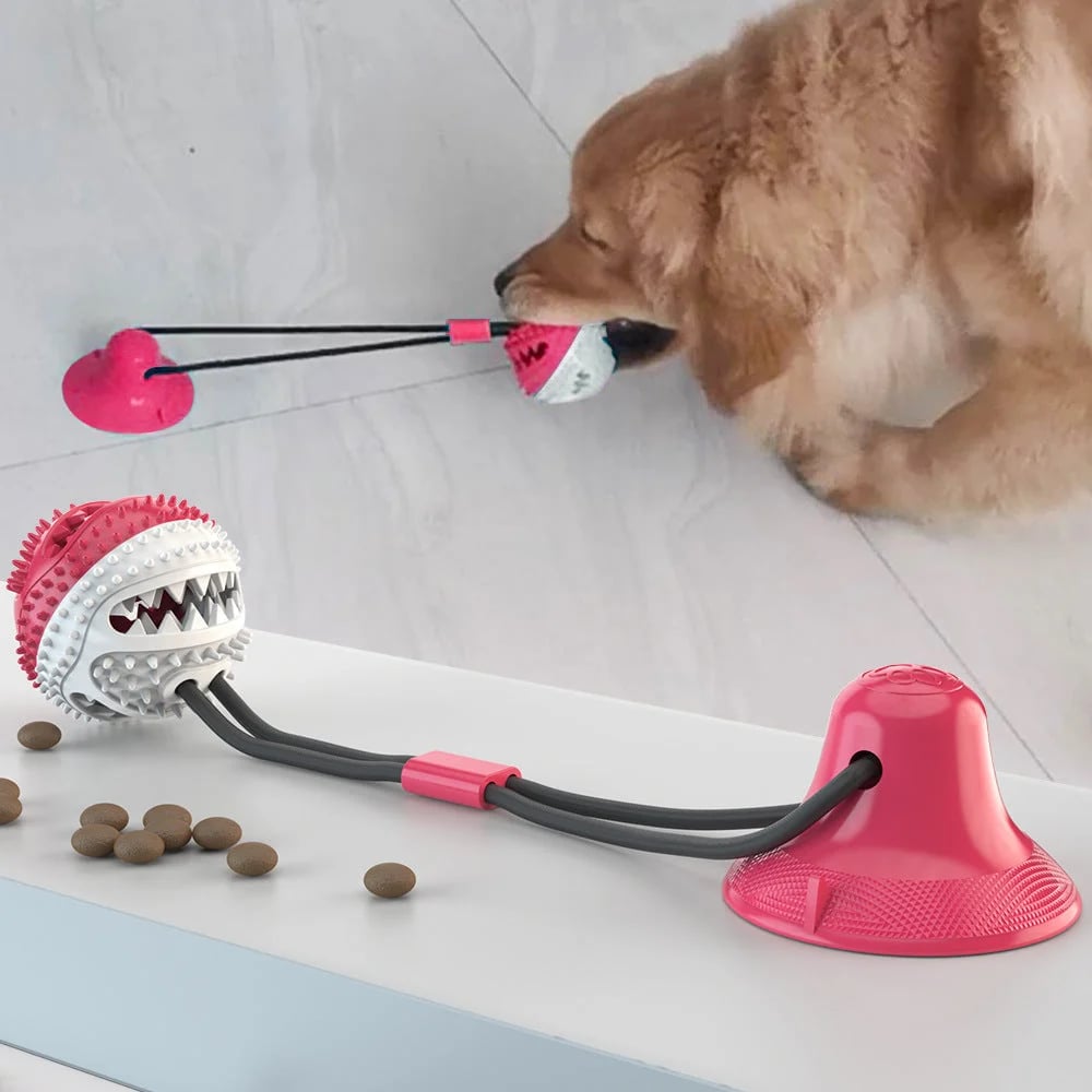 Dog suction cup toy