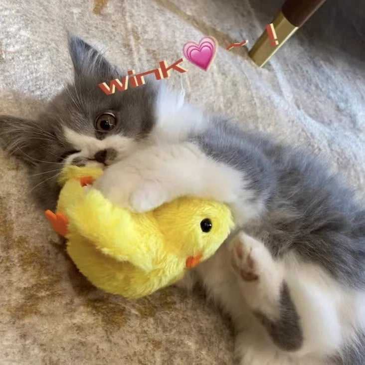 🦆Lifelike Quack Chirping Cat Kicker Toys