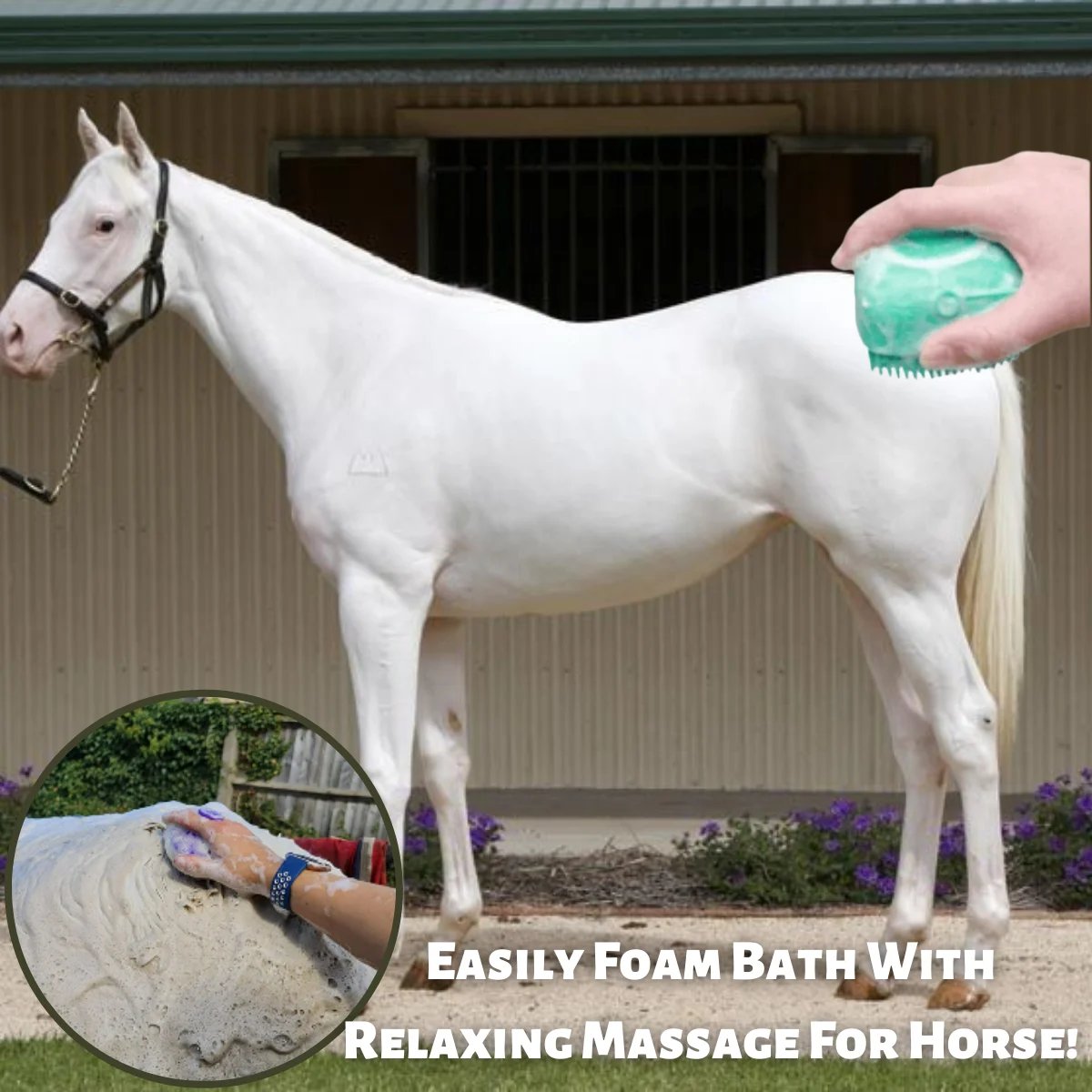 💥Spring Hot Sale💥 🧼🧼Bathroom 🐶Horse Dog Cat🐱 Bath Brush Massage Gloves Soft Safety Silicone Comb Pet Accessories❤️