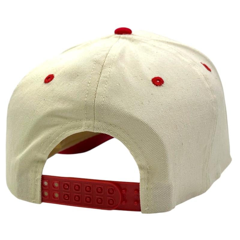 I WOULD Embroidered Hat