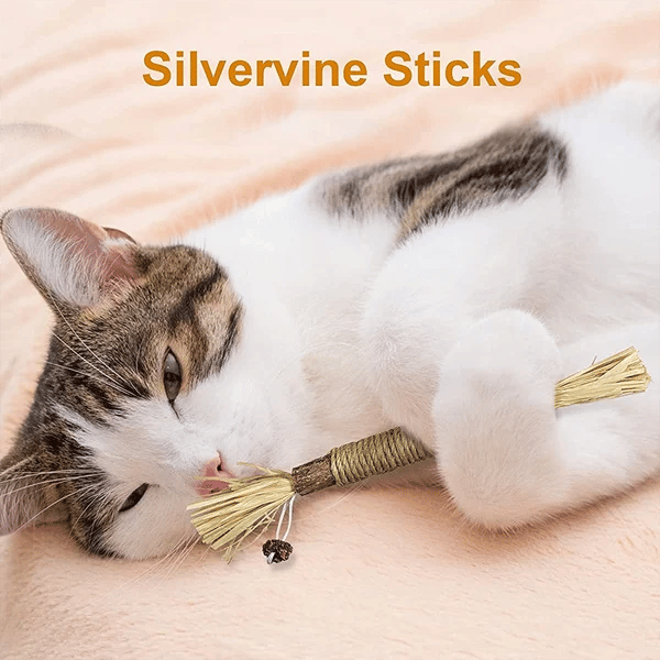 (🔥BIG SALE)Natural Silvervine Stick Cat Chew Toy