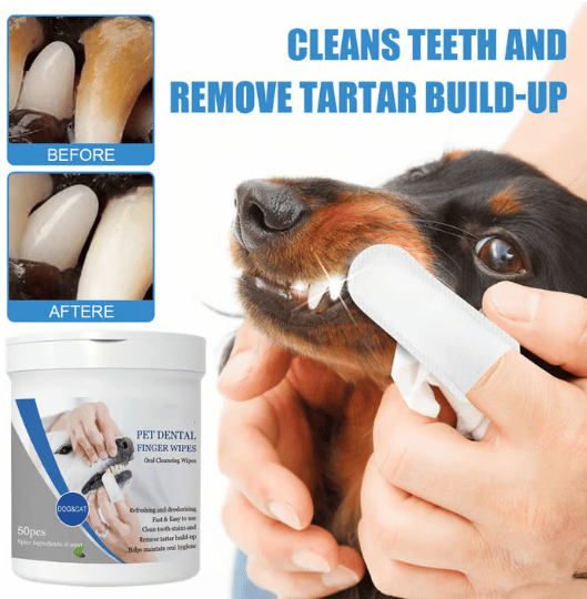 (🍀 HOT SALE 🍀)-Pet Teeth Macular Bacteria Cleaning Finger Wipes
