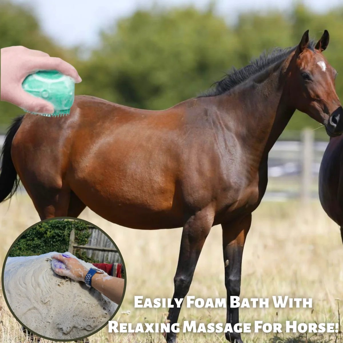 💥Spring Hot Sale💥 🧼🧼Bathroom 🐶Horse Dog Cat🐱 Bath Brush Massage Gloves Soft Safety Silicone Comb Pet Accessories❤️