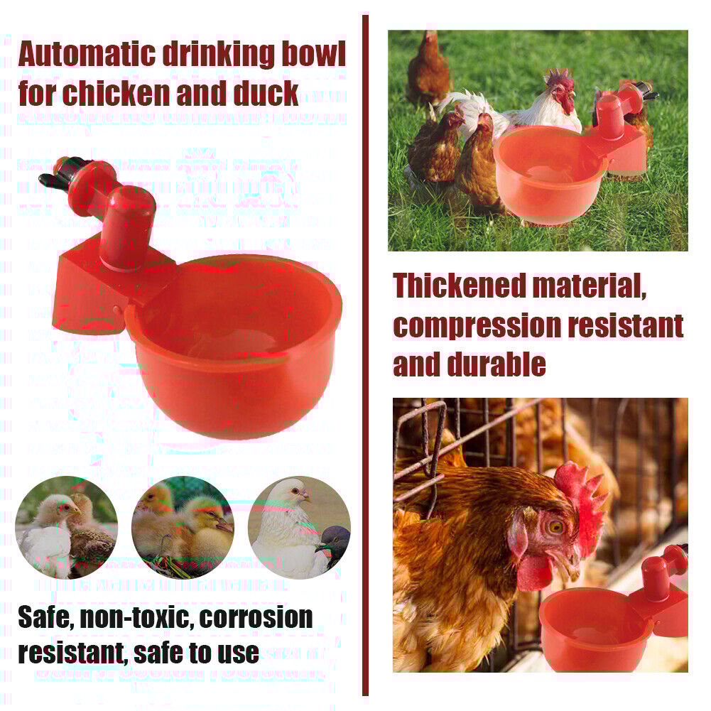 🎉Automatic Poultry Water Bowl (5Pcs/set) 💥