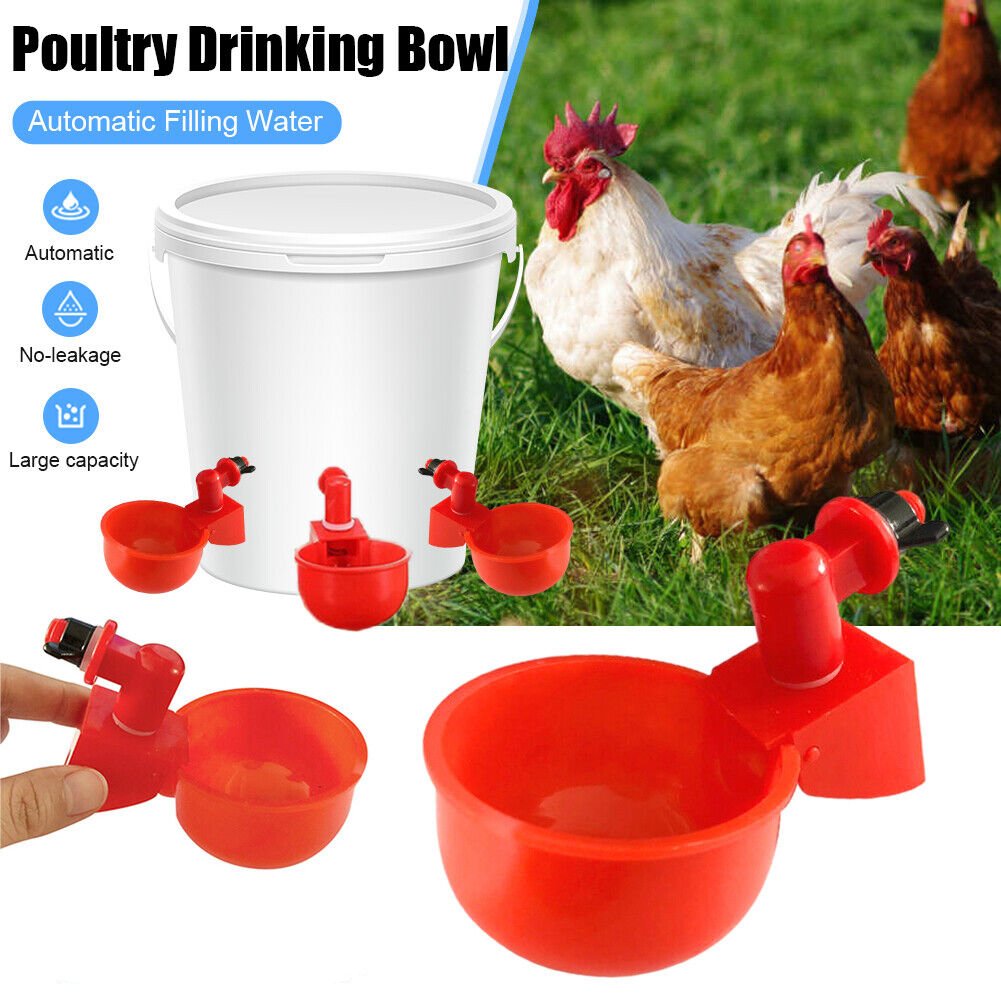 🎉Automatic Poultry Water Bowl (5Pcs/set) 💥