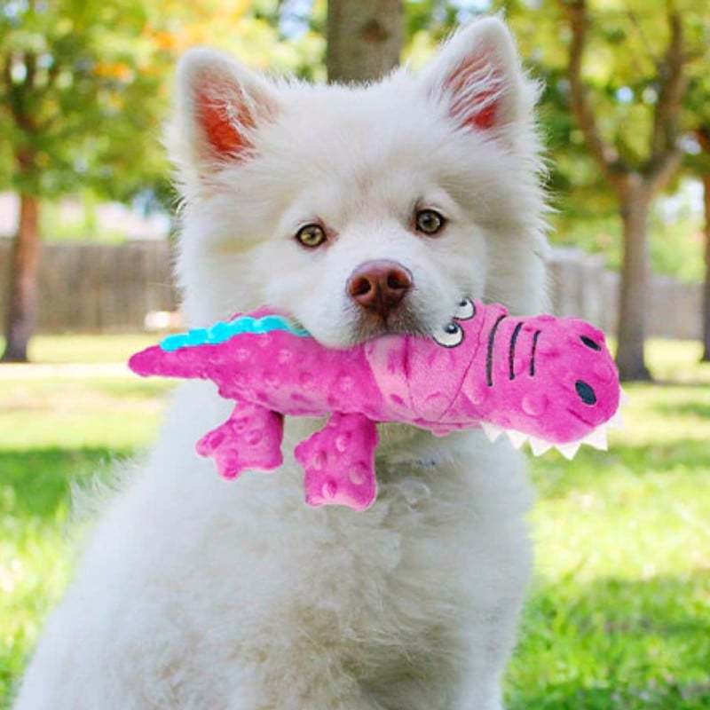🔥SQUEAKY TEETHING PLUSH TOY FOR LOVELY PETS