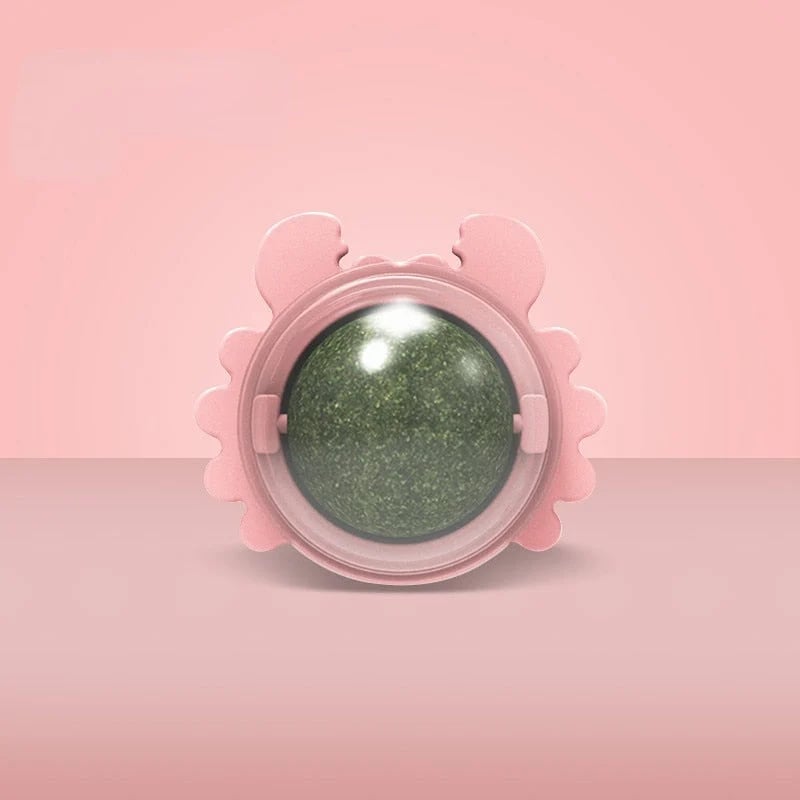 🔥CATNIP WALL BALL