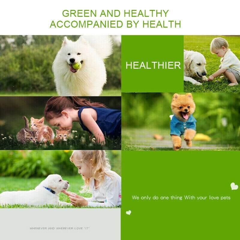 2023 New Pet Ear Powder