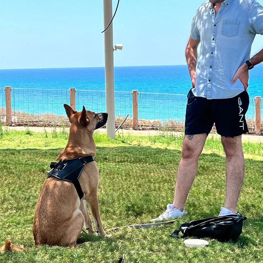 Anti Choke Dog Harness