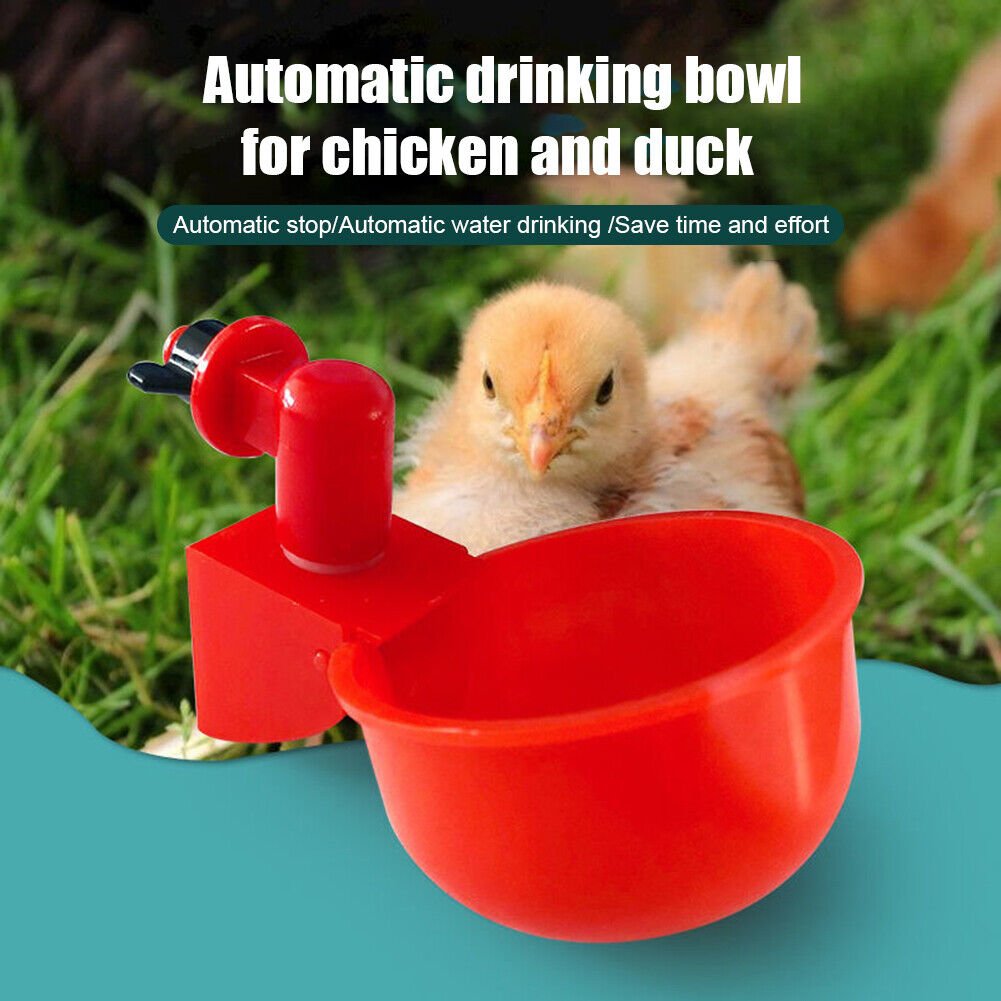 🎉Automatic Poultry Water Bowl (5Pcs/set) 💥