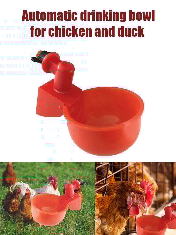 🎉Automatic Poultry Water Bowl (5Pcs/set) 💥