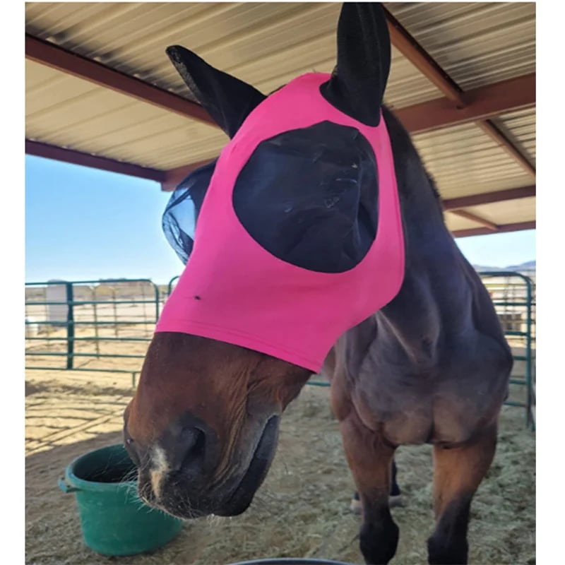 🔥Last day 48% off🔥Equine Mask Anti-Fly Mesh