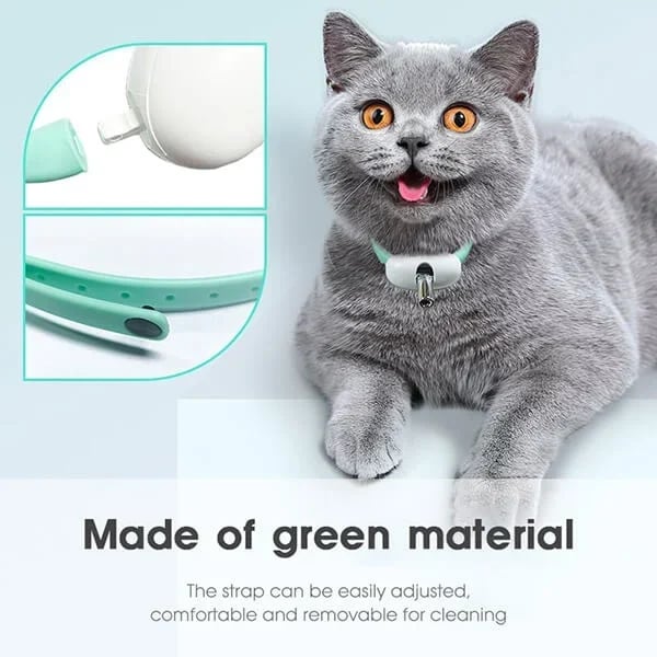 🔥 Electric Smart Amusing Collar for Kitten 🔥