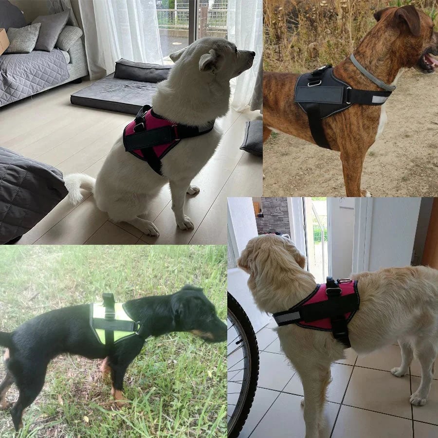 Anti Choke Dog Harness