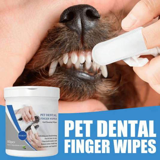 (🍀 HOT SALE 🍀)-Pet Teeth Macular Bacteria Cleaning Finger Wipes
