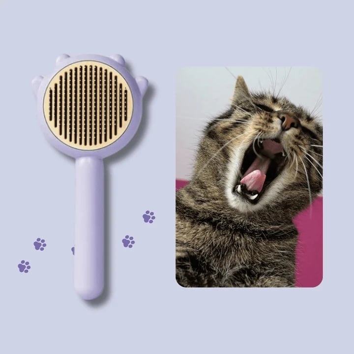 IdentitytTM Self-Cleaning Grooming Brush🔥Hot Sale🔥