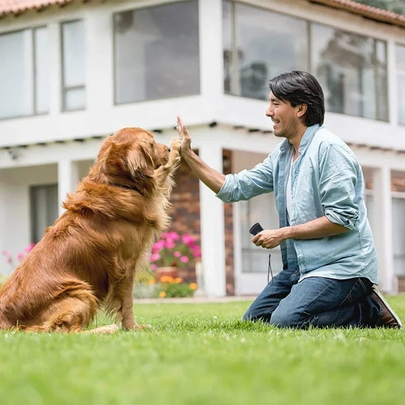 🔥Ultrasonic Anti Barking Dog Device