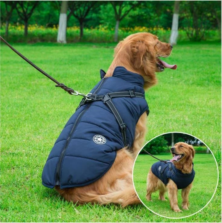 🔥Christmas Sale 49% OFF🔥 Waterproof Furry Jacket for Dogs of All Sizes