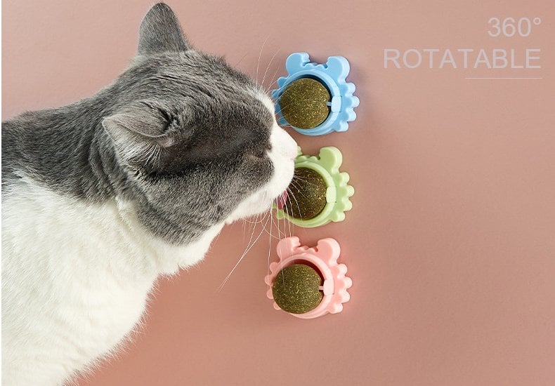 Catnip Balls