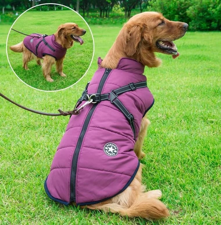 🔥Christmas Sale 49% OFF🔥 Waterproof Furry Jacket for Dogs of All Sizes