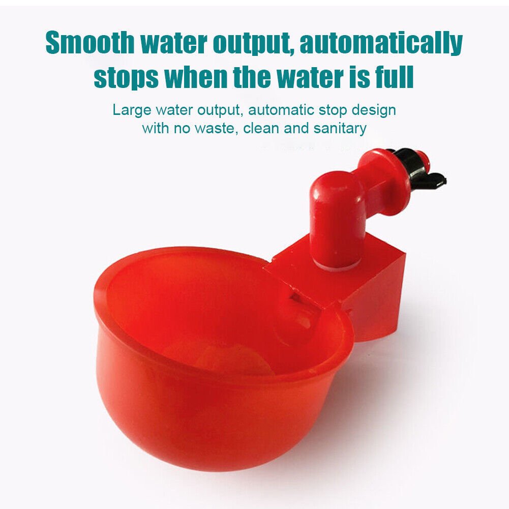 🎉Automatic Poultry Water Bowl (5Pcs/set) 💥