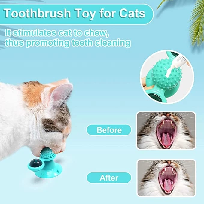 🔥BIG SALE - 48% OFF🔥🔥 Interactive Windmill Cat Toys with Catnip