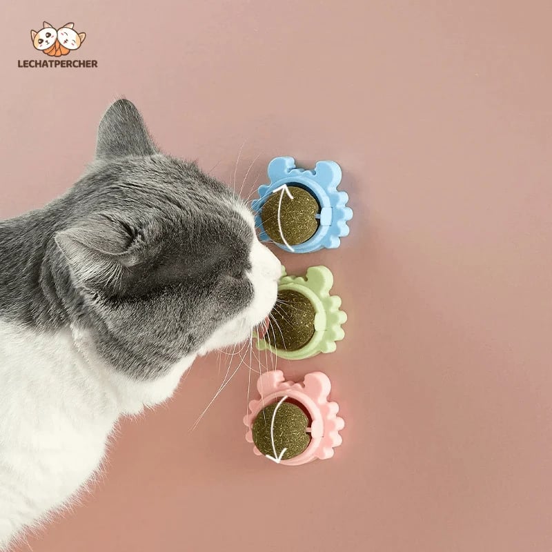 🔥CATNIP WALL BALL