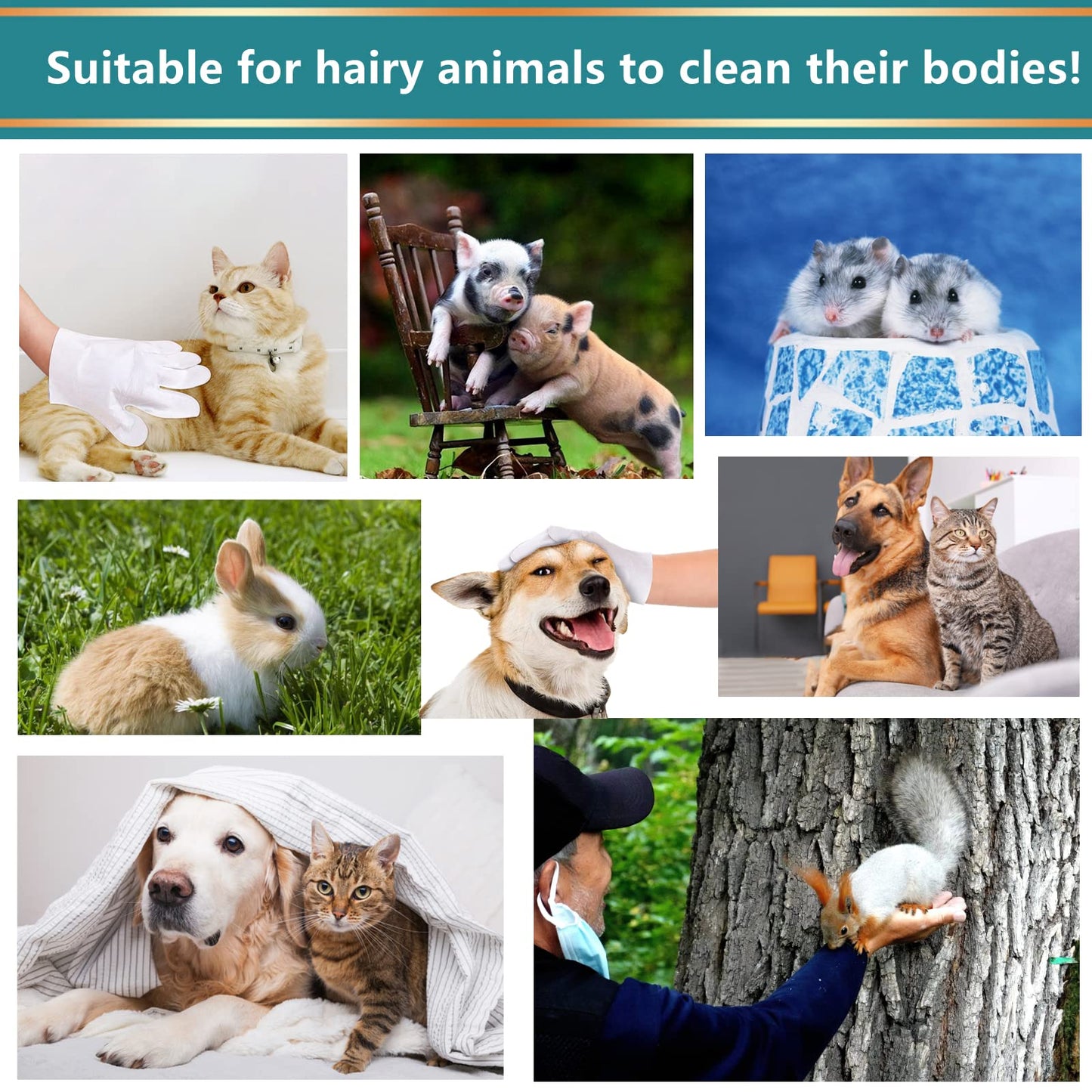 Pet Herbal Spa Antibacterial Cleaning Gloves