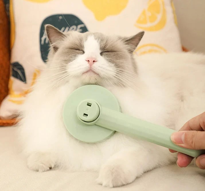 IdentitytTM Self-Cleaning Grooming Brush🔥Hot Sale🔥