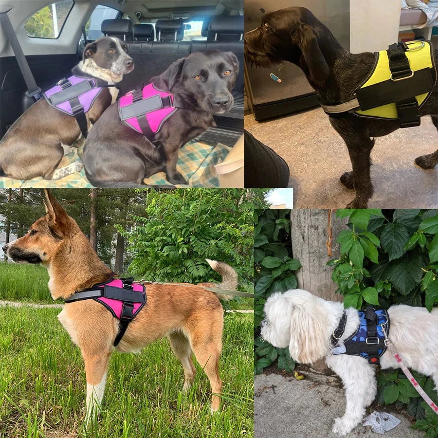 Anti Choke Dog Harness