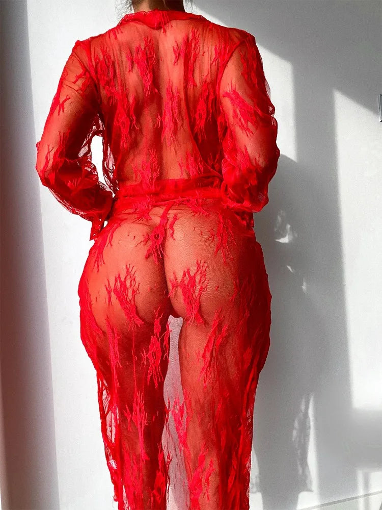 Elegant Sheer Nightgown